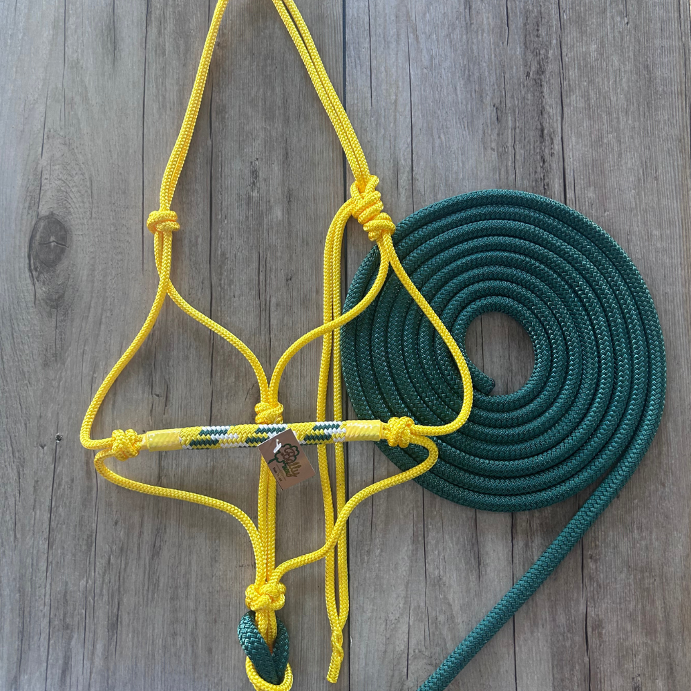 Bally Tack Combo-Aussie Gold