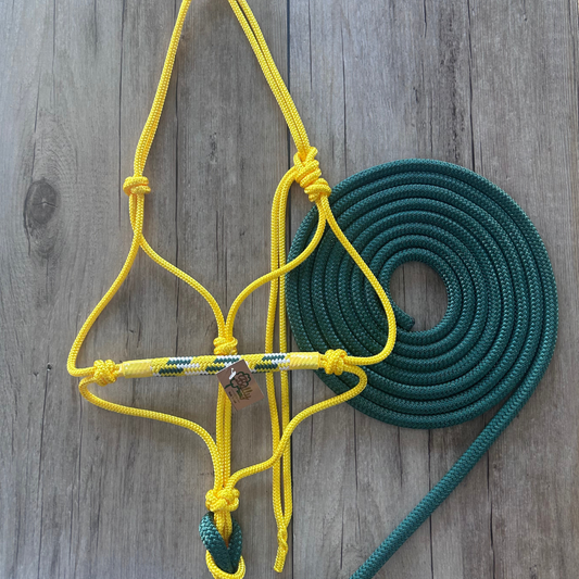 Bally Tack Combo-Aussie Gold