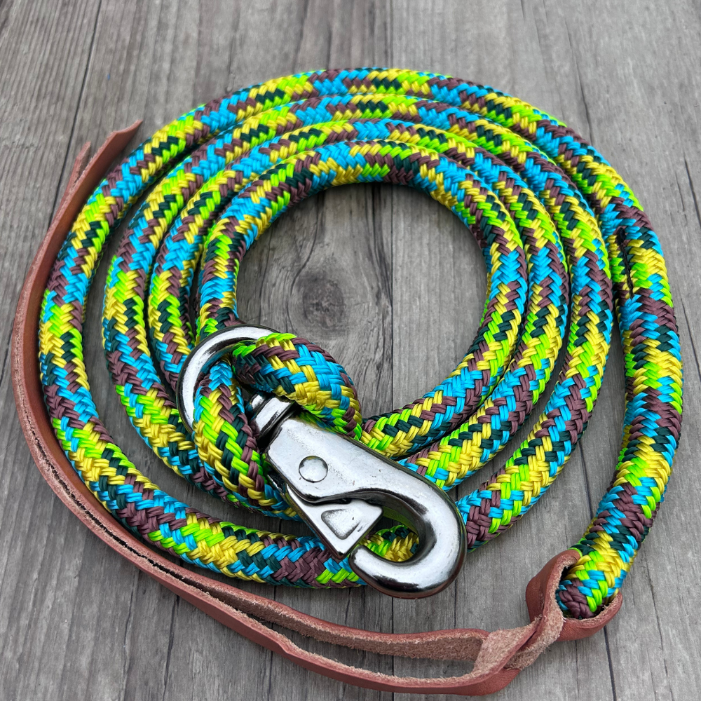 New ! Bally Tack Rope Lead with Clip- Sunflower