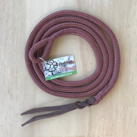 Brown_lead_rope