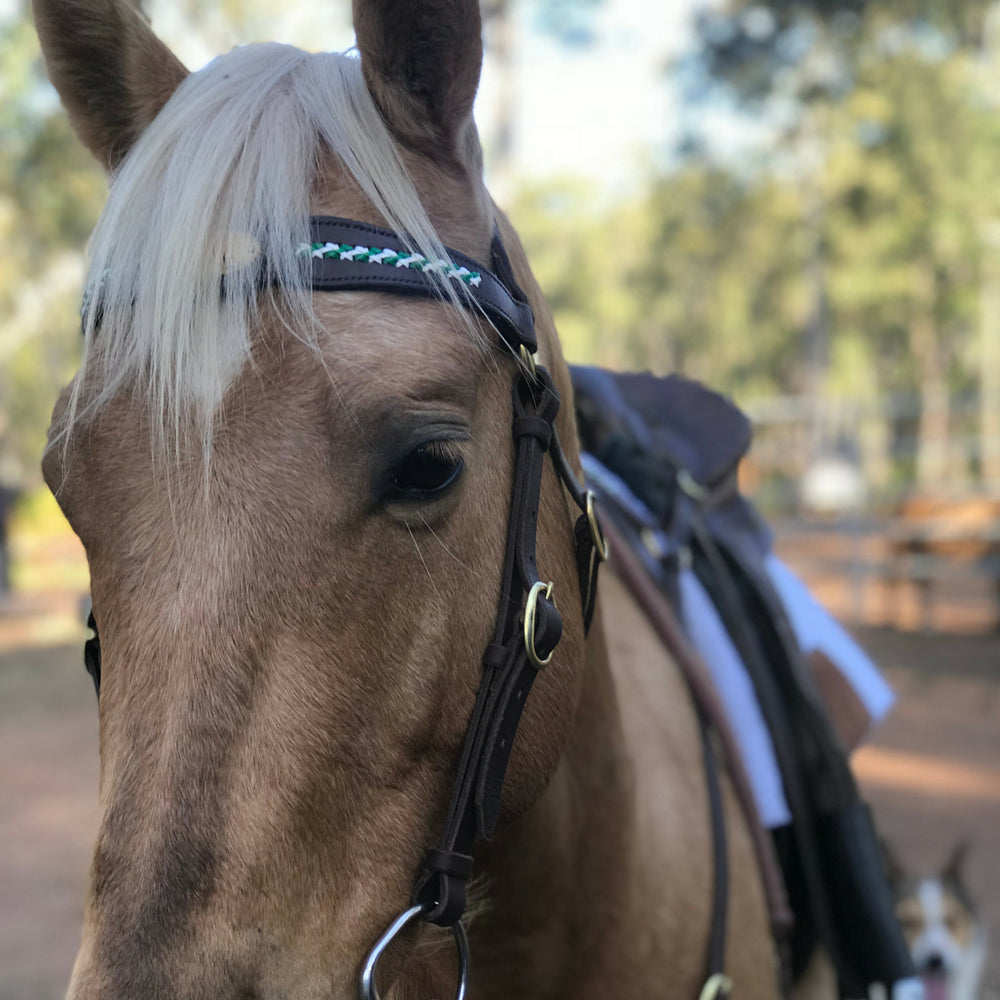 Bally Tack Leather Nora Bridle – Double C Saddlery Australia