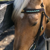 Australian_made_leather_bridle_on_horse