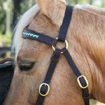 Genuine_leather_bridle_on_horse