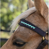 Browband_on_horse
