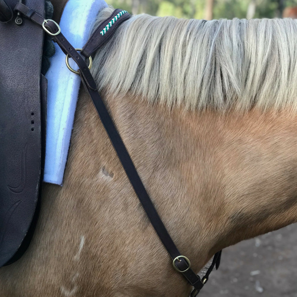 Leather_breatplate_on_horse