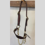 Leather_cattle_halter_show_brass