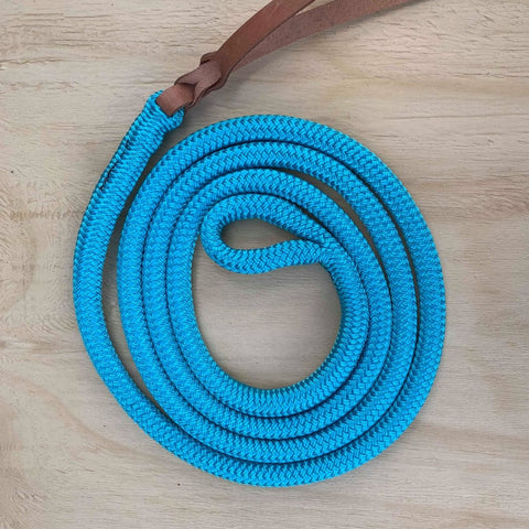 Turquoise_lead_rope