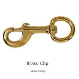 Brass_clip