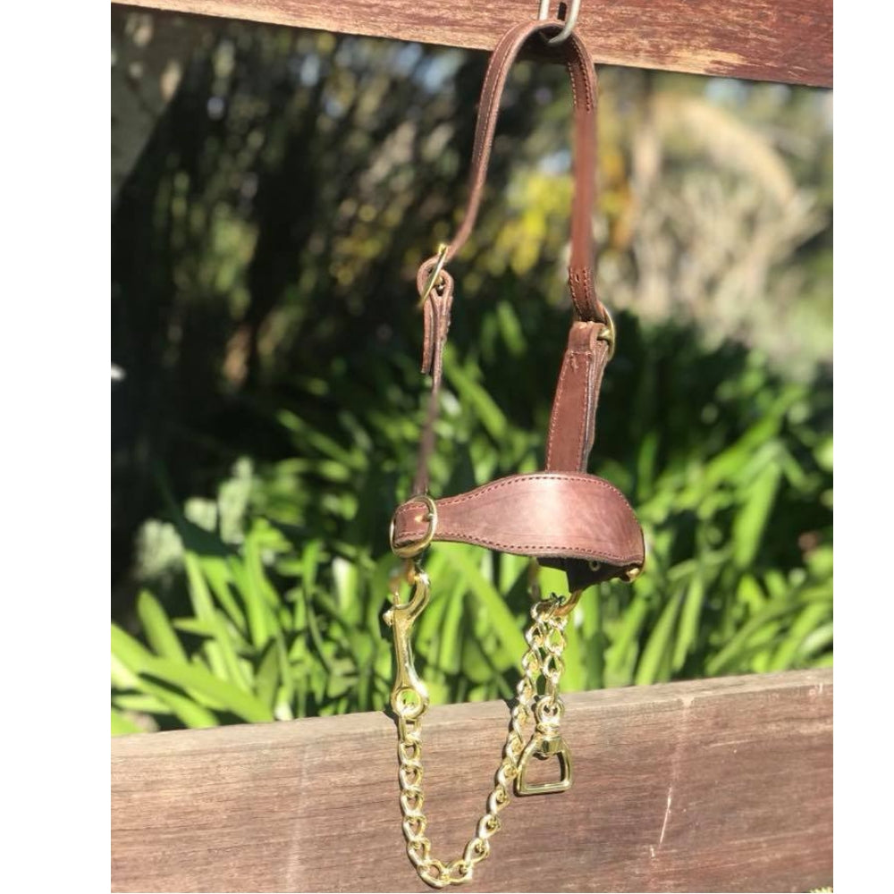 Leather_cattle_show_halter