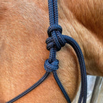 Black_rope_halter_close_up_on_horse