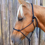 Black_rope_halter_on_horse