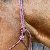 Brown_rope_halter_on_horse