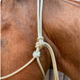 Cream_rope_halter_on_horse