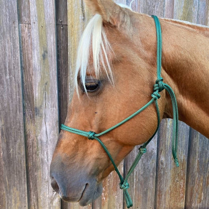 Green_rope_halter_on_horse