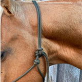 Olive_rope_halter_on_horse