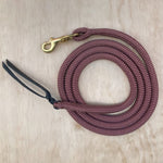 Brown_lead_rope_with_clip