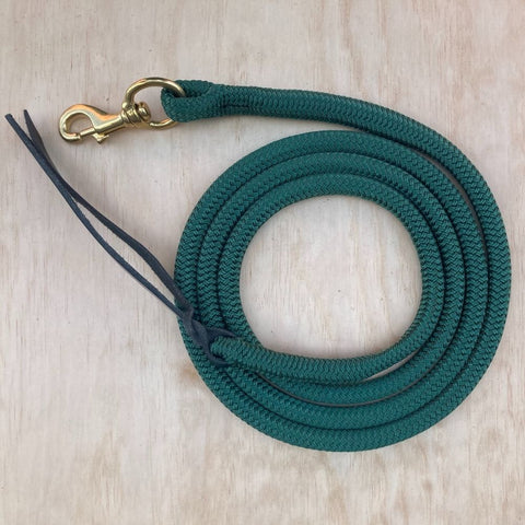 Green_lead_rope_clip_clip