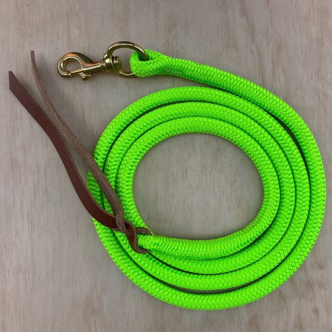 Lime_green_lead_rope_with_clip