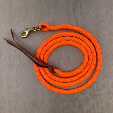 Orange_lead_rope_with_clip