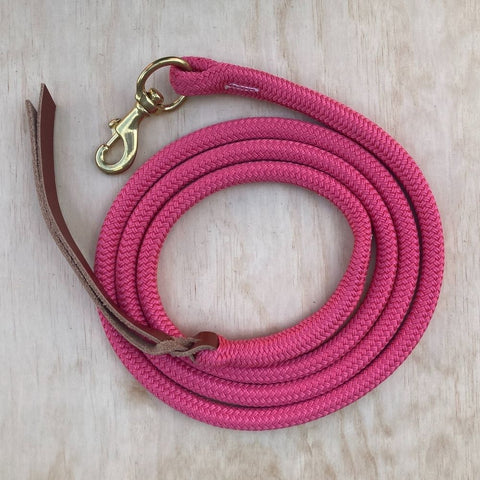 Pink_lead_rope_with_clip
