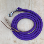 Purple_lead_rope_with_clip