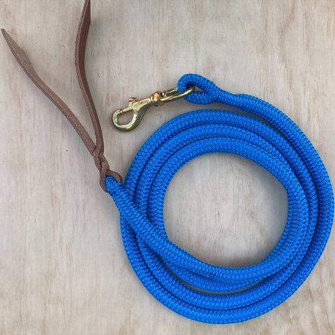 Sky_blue_lead_rope_with_clip