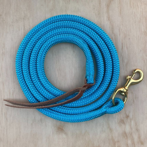 Turquoise_lead_rope_with_clip