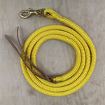 Yellow_lead_rope_with_clip