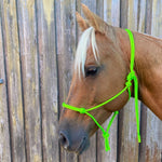 Rope_horse_halter_lime_green