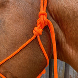 Orange_rope_halter_on_horse
