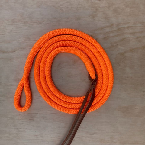 Orange_lead_rope