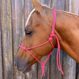 Pink_rope_halter_on_horse