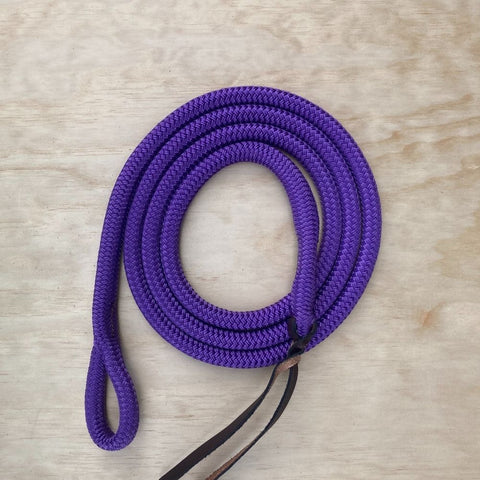Purple_loop_lead_rope
