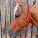 Red_rope_halter_on_horse