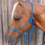 Skyblue_rope_halter_on_horse