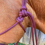 Wine_rope_halter_on_horse
