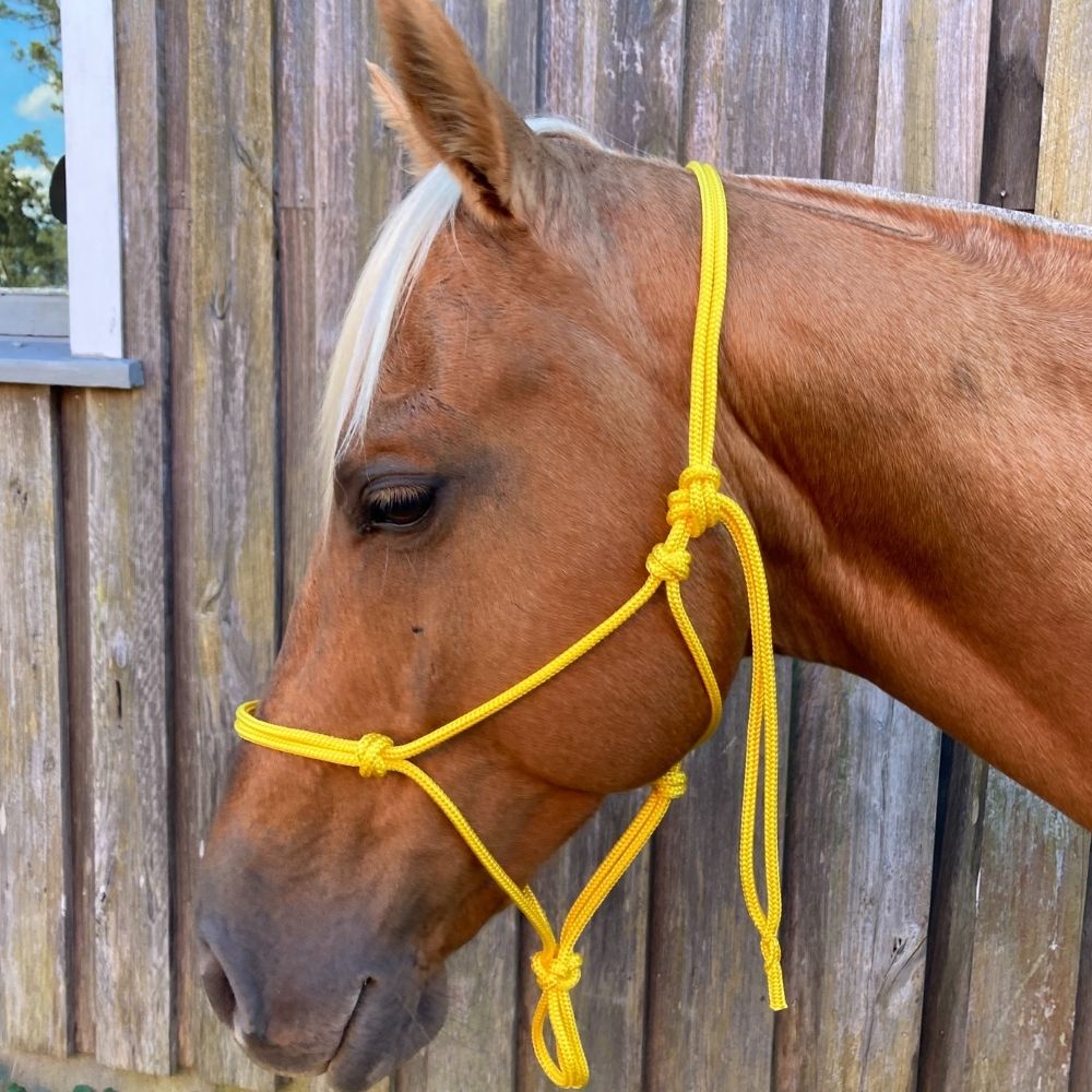 Yellow Rope Halter Bally Tack Rope Halter 6mm- Yellow – Double C Saddlery Australia