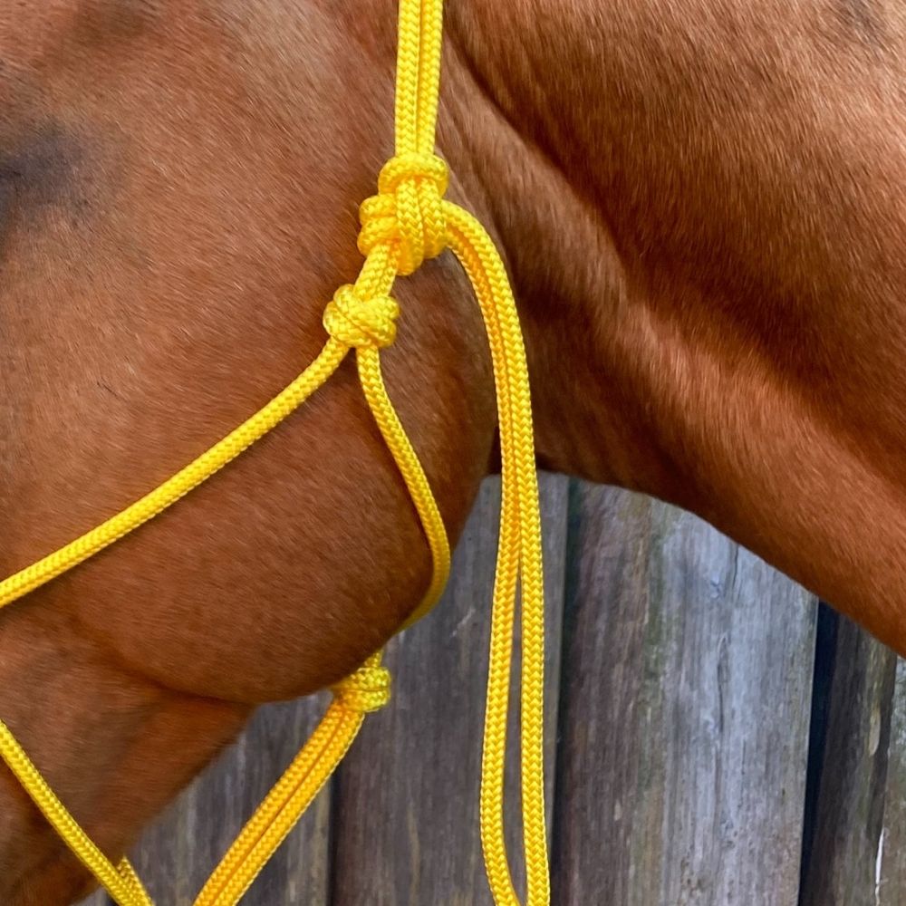 Yellow Rope Halter Bally Tack Rope Halter 6mm- Yellow – Double C Saddlery Australia