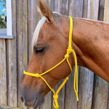 Yellow_rope_halter_on_horse