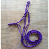 Purple_halter_and_lead_rope